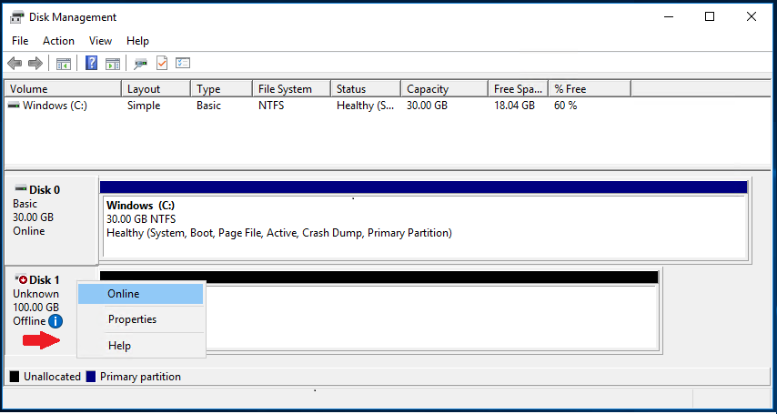 windows-2016-volume-online-1