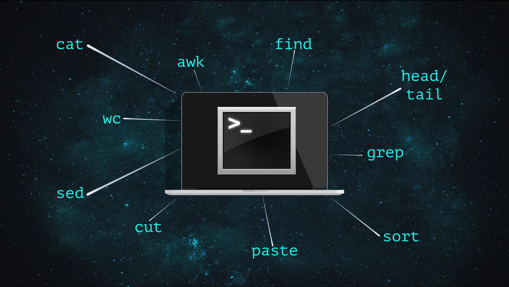 10 Simple Linux Commands Every Researcher Should Know