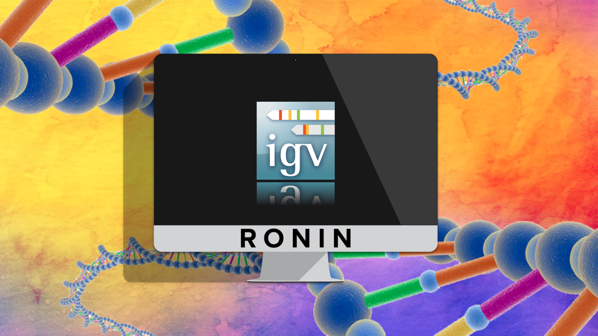 Visualising Genomic Data with IGV in RONIN