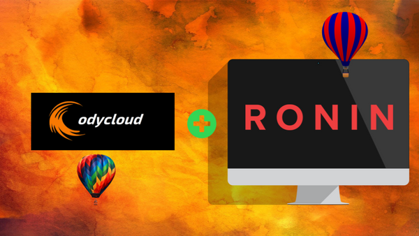 Modeling Air Quality With RONIN and Odycloud