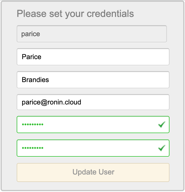 Logging in to your ronin isolate aws workspace